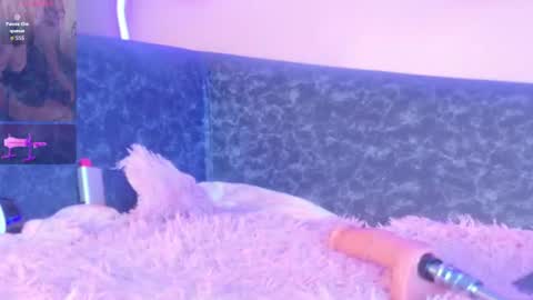 Amy online show from July 17, 8:43 am