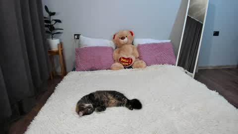 Snapshot of amymilson chatting on December 20, 3:21 pm amymilson online show from December 20, 3:21 pm