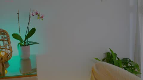 Snapshot of anabelcurvy chatting on May 24, 9:58 am anabelcurvy online show from May 24, 9:58 am