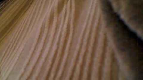 anaiserebel online show from January 15, 7:02 am