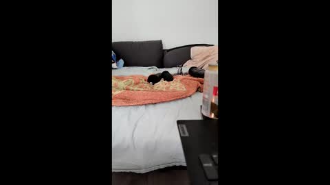 Snapshot of analtraining12 chatting on March 26, 10:21 am analtraining12 online show from March 26, 10:21 am