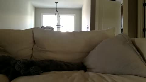 Snapshot of andees222 chatting on December 19, 4:36 pm Andees222 online show from December 19, 4:36 pm