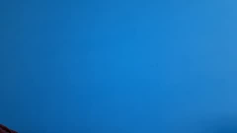 Snapshot of andemax chatting on November 21, 10:36 am And 16.8 online show from November 21, 10:36 am