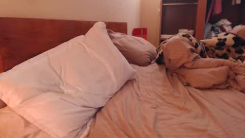 Snapshot of andrasweetie chatting on February 6, 3:27 am Andra online show from February 6, 3:27 am