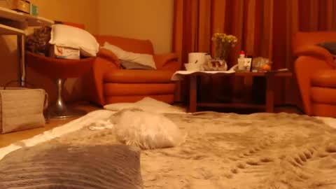 Snapshot of andrasweetie chatting on June 1, 8:54 pm Andra online show from June 1, 8:54 pm