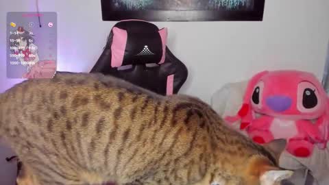 Snapshot of andreag_ chatting on March 8, 7:01 am Andrea online show from March 8, 7:01 am