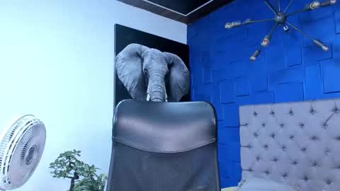 insta andres clark  online show from October 26, 6:14 pm