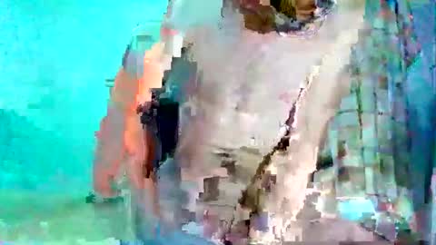 Snapshot of andrescitomessi chatting on December 5, 6:21 am FLACO online show from December 5, 6:21 am