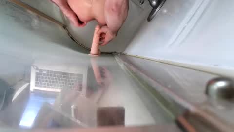 Snapshot of andybadass chatting on March 10, 12:37 pm andybadass online show from March 10, 12:37 pm