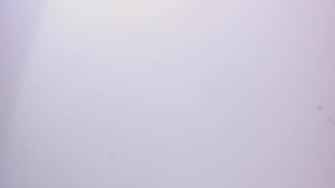 angel hardy online show from February 15, 3:17 pm