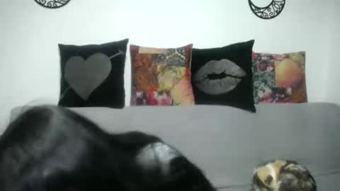 Snapshot of angela_mis chatting on March 7, 3:19 am Angela online show from March 7, 3:19 am