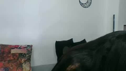 Snapshot of angela_mis chatting on March 11, 2:32 am Angela online show from March 11, 2:32 am