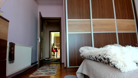 Angelina online show from January 20, 11:45 am