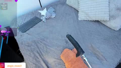 angiee roses online show from February 9, 2:49 am