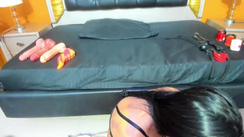 Ani  Time schedule 0600 - 1400 GMT -5 online show from October 1, 11:05 am