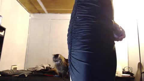 Snapshot of anilyseardor chatting on March 10, 10:26 am Ani online show from March 10, 10:26 am