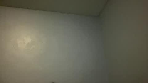 Snapshot of animeboygirls chatting on November 10, 4:11 am Animeboygirls online show from November 10, 4:11 am