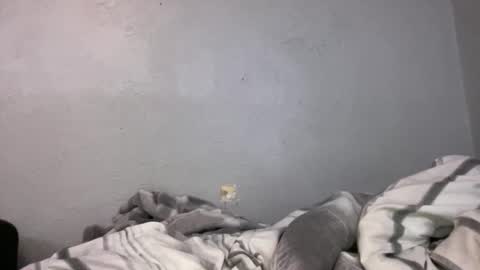 Animeboygirls online show from April 29, 2:15 am