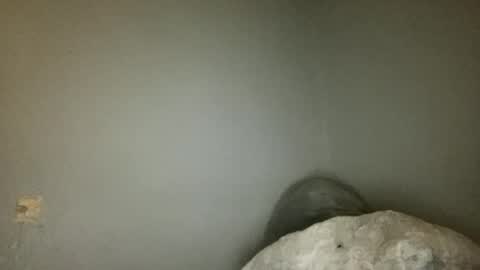 Animeboygirls online show from June 18, 3:40 am