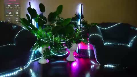 anita_von online show from June 13, 4:54 am