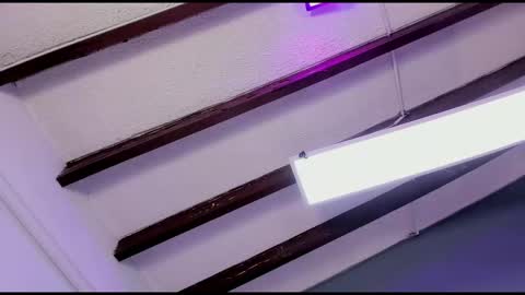 Annie online show from December 5, 11:41 am