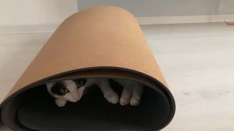 Snapshot of anntics_ chatting on October 12, 8:57 am N antics online show from October 12, 8:57 am