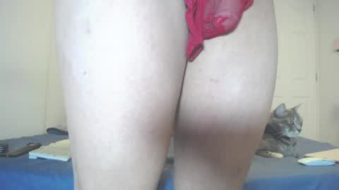  INDEPENDENT MODEL next srteam 240624 online show from July 11, 6:43 pm