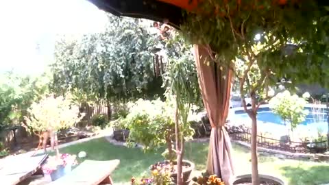anoaklawnguy online show from July 26, 3:30 pm