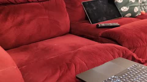 D online show from February 20, 12:05 pm