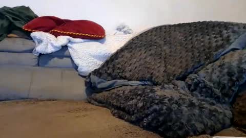 Snapshot of anonymousex15 chatting on November 30, 12:42 pm anonymousex15 online show from November 30, 12:42 pm