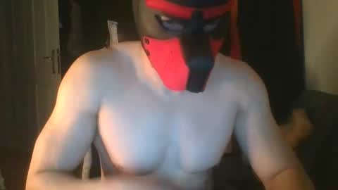 Snapshot of anonymousguy68_cam chatting on September 12, 11:37 pm Anonymousguy online show from September 12, 11:37 pm