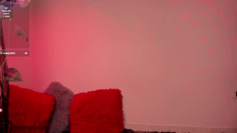 Snapshot of another_teo chatting on January 26, 6:28 am Jordan Mateo online show from January 26, 6:28 am