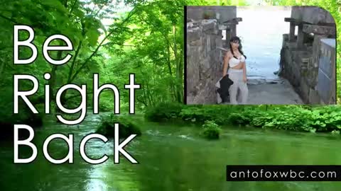 Snapshot of antofoxwbc chatting on January 24, 10:53 am Anto online show from January 24, 10:53 am