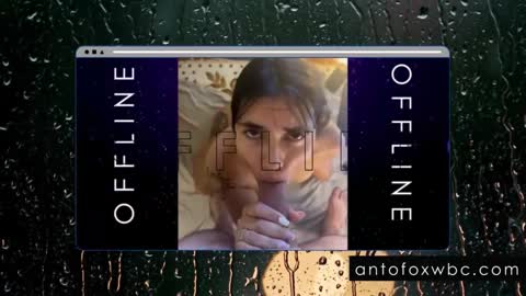 Snapshot of antofoxwbc chatting on February 4, 5:53 am Anto online show from February 4, 5:53 am