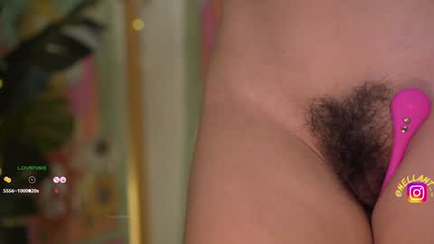 Nell. online show from December 16, 9:35 am