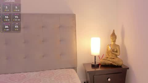 Snapshot of antonellaa_gomez chatting on January 29, 11:41 am Antonellaa online show from January 29, 11:41 am