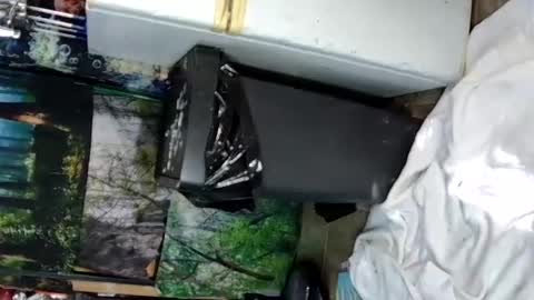 aquafoxxy online show from June 15, 9:28 pm