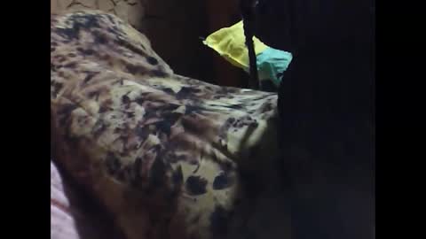 Snapshot of ara_bellah chatting on March 21, 8:34 pm ara bellah online show from March 21, 8:34 pm