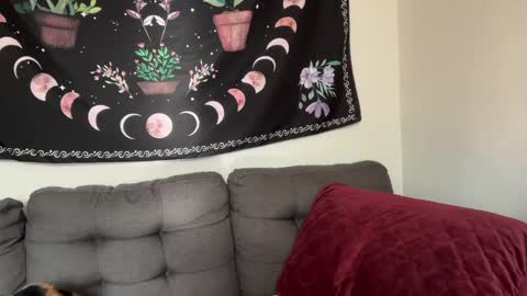 Snapshot of aria_fields_ chatting on December 4, 5:33 pm Aria Fields online show from December 4, 5:33 pm