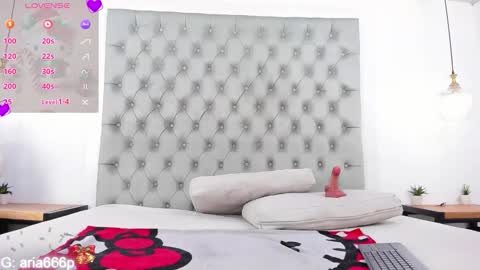 Snapshot of aria_paul chatting on December 3, 10:24 am aria online show from December 3, 10:24 am