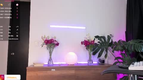 DaniAri - dimension X at night NY time online show from July 10, 5:04 pm