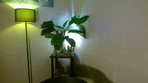 Your love arianna online show from February 16, 3:58 am