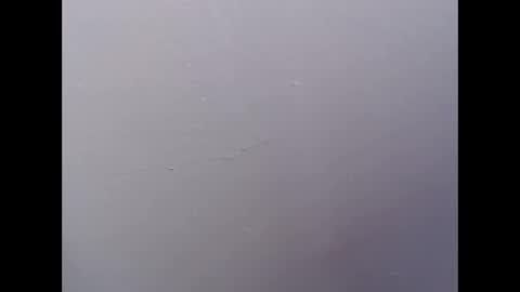 ariannaloovel online show from April 27, 5:55 pm