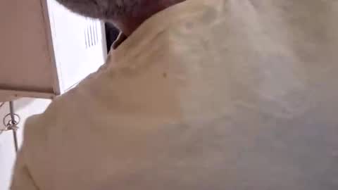 Snapshot of arielferdman chatting on October 28, 9:06 pm arielferdman online show from October 28, 9:06 pm