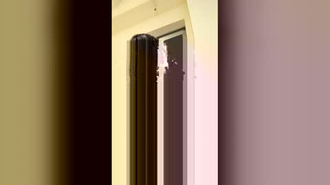 Snapshot of arilavish chatting on April 11, 5:34 am arilavish online show from April 11, 5:34 am