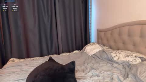 Snapshot of arlenhere chatting on October 22, 2:17 pm Mia Arlen online show from October 22, 2:17 pm