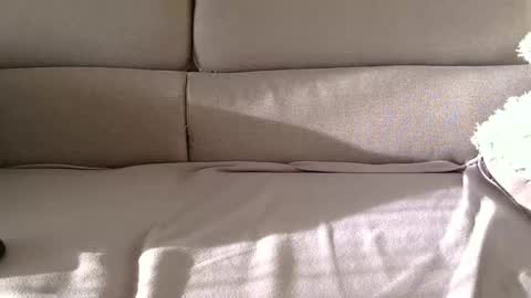 Snapshot of arpinopeer3055 chatting on November 5, 8:14 am arpinopeer3055 online show from November 5, 8:14 am