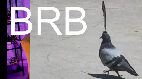 AshleyAshe  online show from March 7, 5:08 am