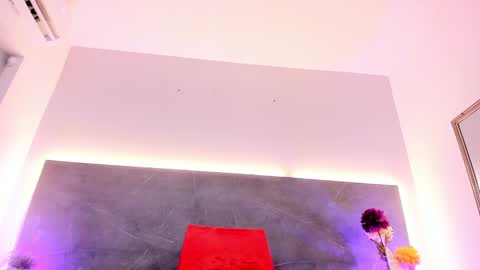 Snapshot of ashleydavis_ chatting on January 25, 4:34 am ASHLEY online show from January 25, 4:34 am