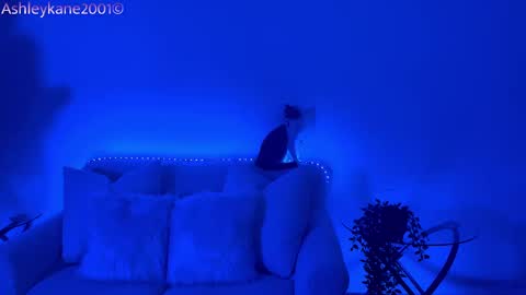 Snapshot of ashleykane2001 chatting on January 20, 4:54 am Ashley online show from January 20, 4:54 am